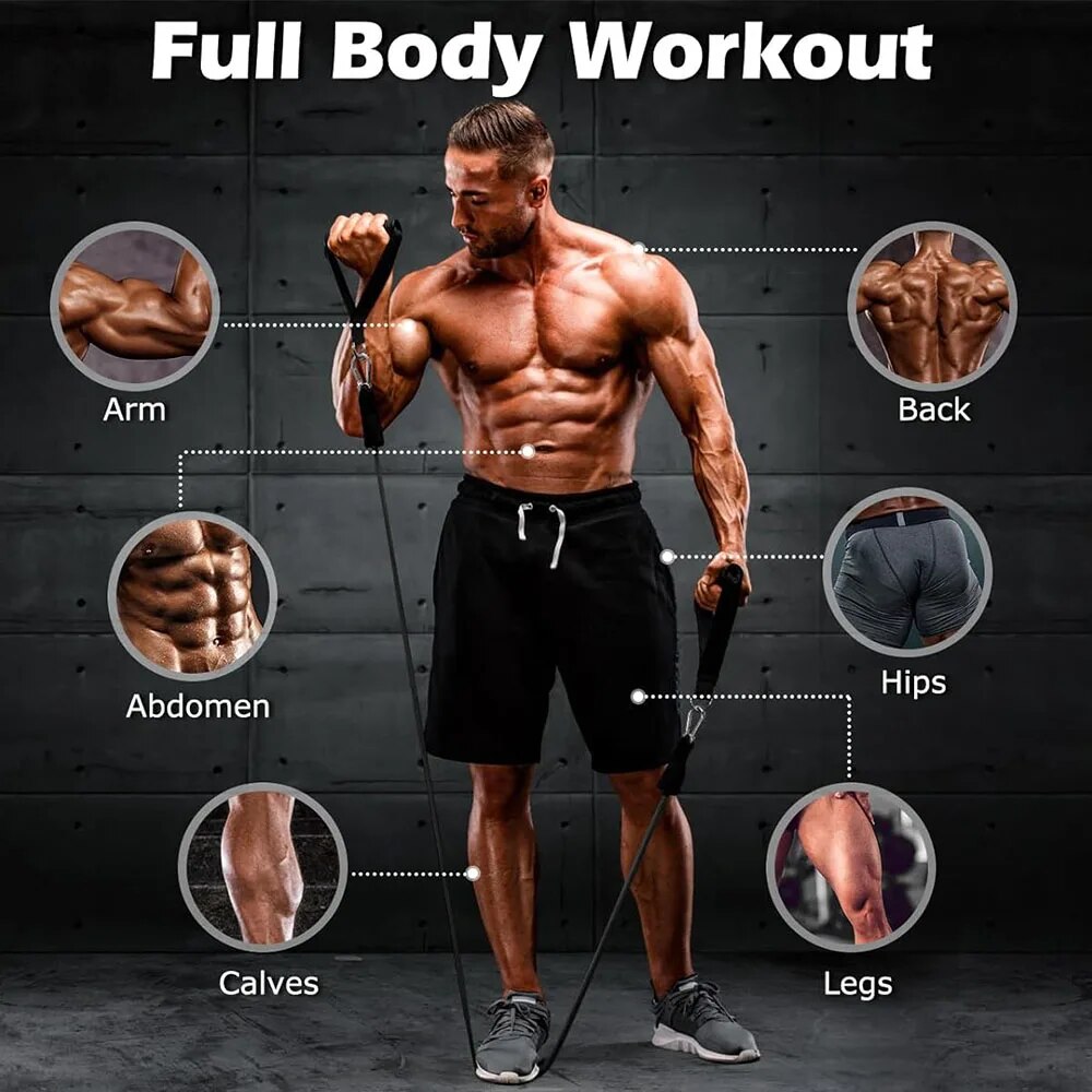 مجموعة أحزمة المقاومة، حبل شد  - مراجعة Home Gym Equipment Set وسعره